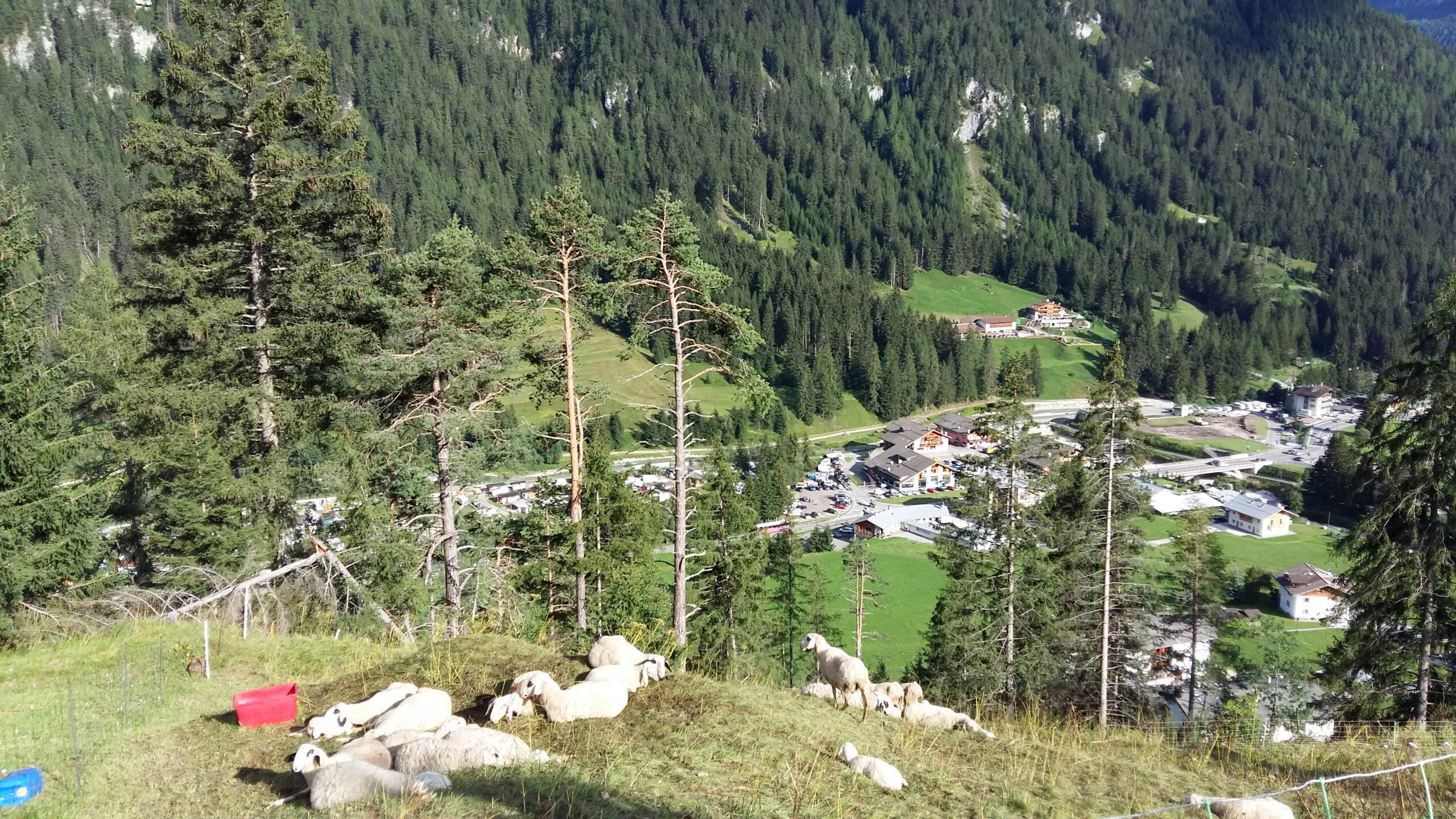 panorama